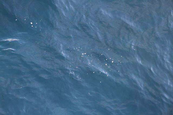 Methane bubbles.