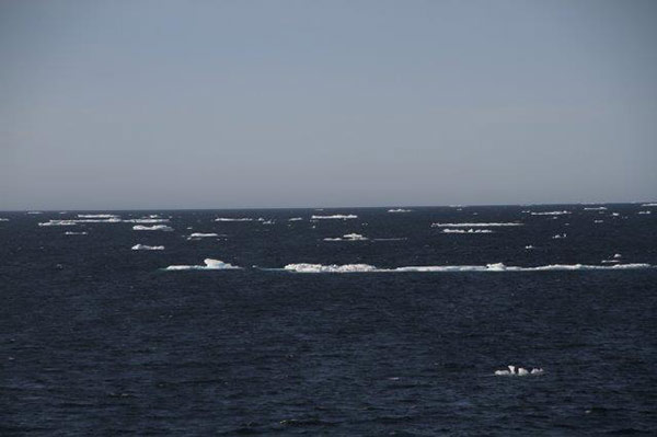 Open water with small floats.