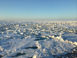 My cabin #308 window-view-picture.