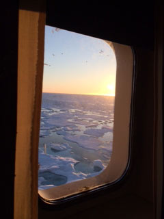 From inside, out through window. 