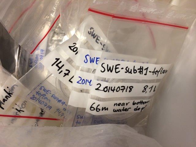 Samples gathering in the freezer. Samples gathering in the freezer.