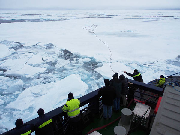 Ivan Öström, Chief Officer, is casting a lasso to get hold of the crashed helicopter. Ivan Öström, Chief Officer, is casting a lasso to get hold of the crashed helicopter.