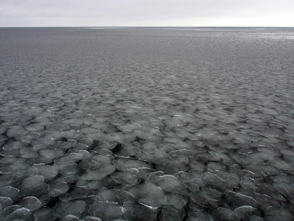 Close up of ice pancakes.