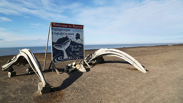 Barrow. Photo: Stella Papadopoulou Barrow. Photo: Stella Papadopoulou